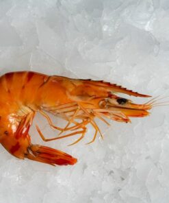 Les crevettes