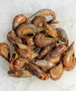 Les crevettes grises