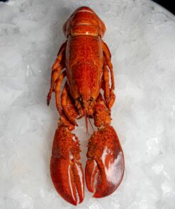 Les homards