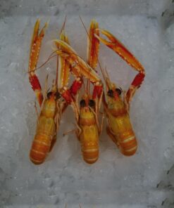 Les langoustines