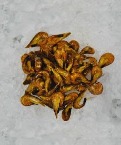 Portion de crevettes grises